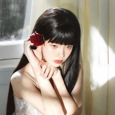 夏绿蒂的网海报