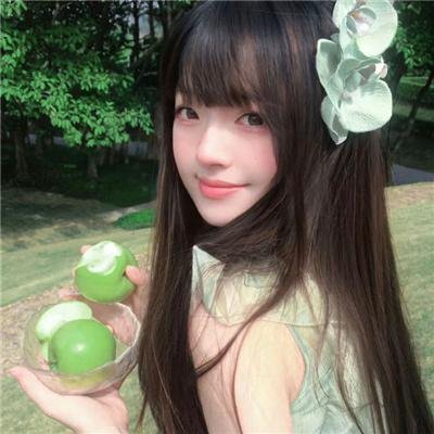 登月先锋海报